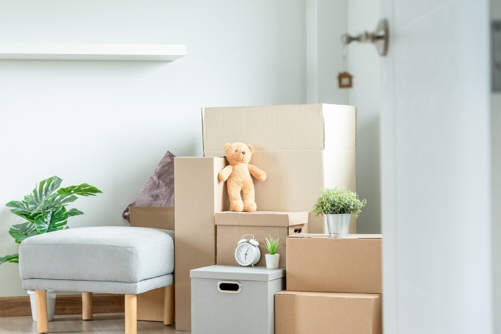 post thumbnail image